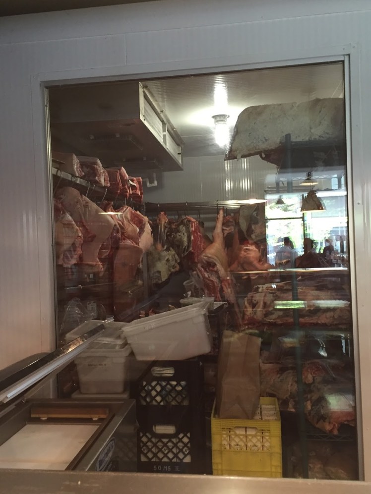 00bfb70b-5f95-4b68-89cb-6c5f3fde33b5