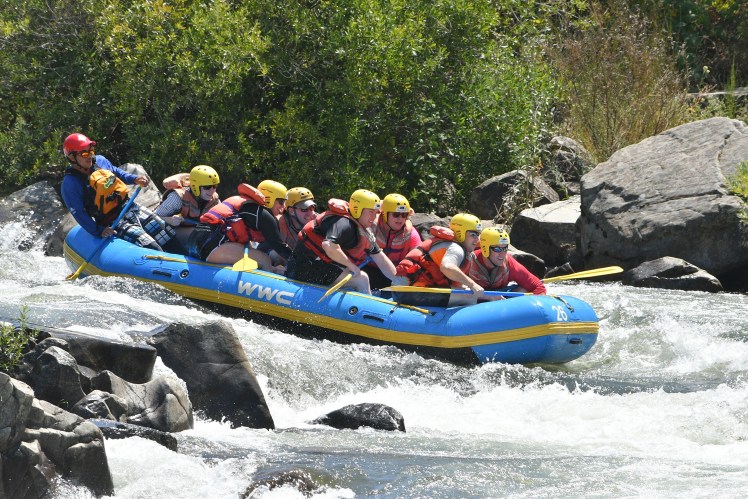 08-12-2016_sfa_tm_wwc_i00020012