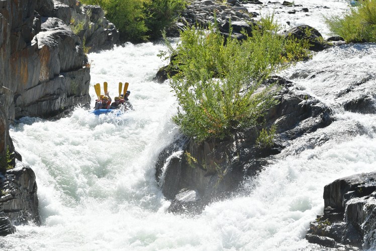 08-13-2016_mfa_tc_wwc_i00010020