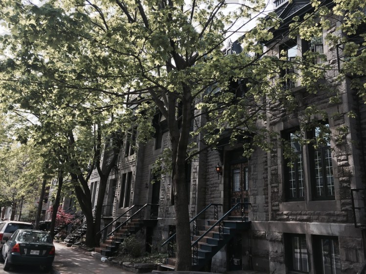 283bdd6f-a6ca-44cd-9749-836a65bc7325