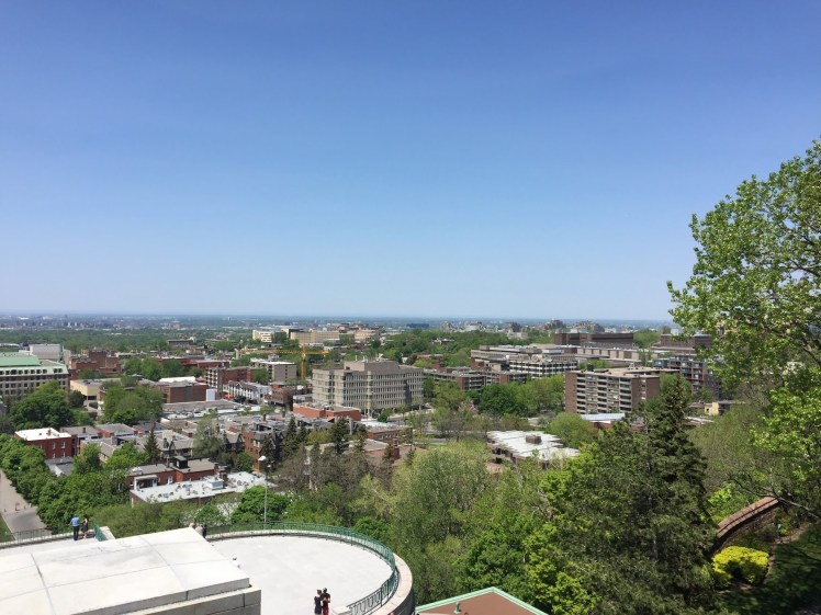 c15859a3-8400-46ca-a806-71f59d6e03ce