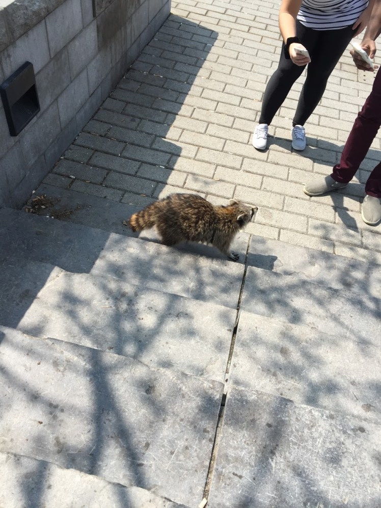 c5fd1957-21ab-4572-bab2-eba6104d8ab6