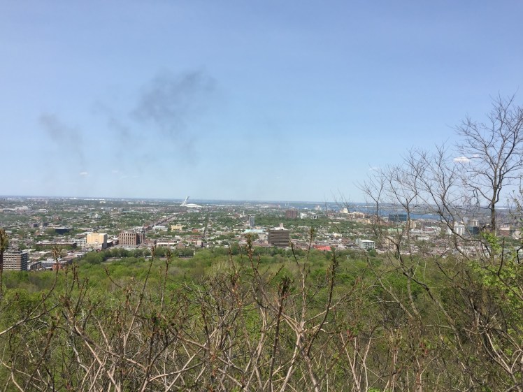 ef57716c-3280-4479-bb00-d8dee4779370